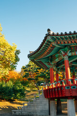 Wall Mural - Korean traditional pavilion and autumn colorful trees at 5.18 Memorial Park in Gwangju, Korea