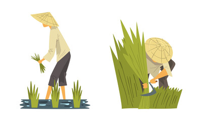 Sticker - Asian Farmer in Straw Conical Hat Working on Paddy Field Vector Set