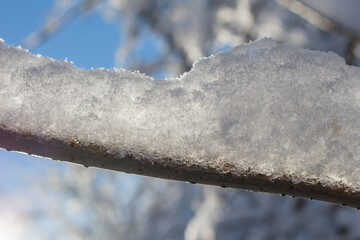 Poster - branch with snow