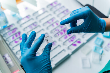 Hand in blue glove holding glass histology slides