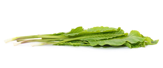 Sticker - Green horseradish leaves.