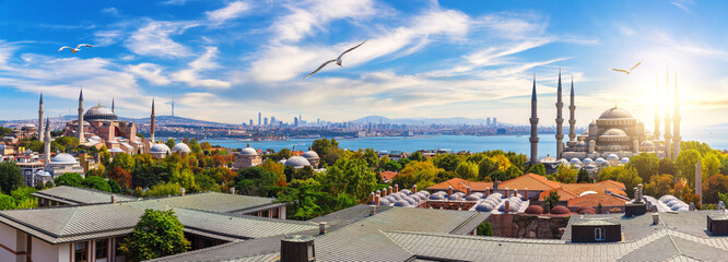 Wall Mural - Istanbul skyline panorama of the roofs, the Hagia Sophia and the Blue Mosque, Turkey