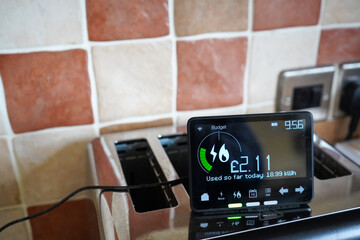 Wall Mural - Household smart meter on a toaster