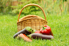 Vegetables And A Basket On A Grass