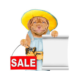 Poster - Funny mastiff puppy worker wearing overalls with tool belt holds sales symbol and empty list. Isolated on white background