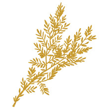 Golden Glitter Texture Leaf Hand Drawn Watercolor Greenery Illustration. Skock Image