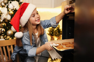 Wall Mural - Little child in Santa hat taking baking sheet with Christmas cookies out of oven indoors