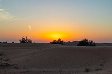 Wall Mural - Sundowner in the Dubai desert conservation area