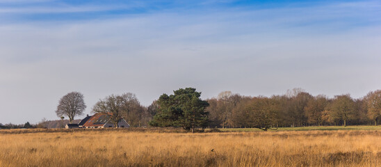 Wall Mural - Old farm on the heather field in Oudemolen, Netherlands