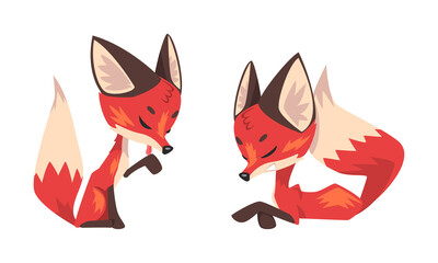 Sticker - Cute Fox Character with Bushy Brush Tail and Triangular Ears Vector Set