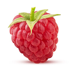 Wall Mural - Ripe raspberries