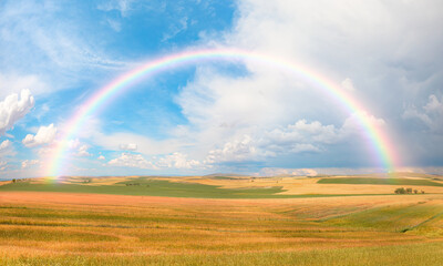  Rainbow over the yellow wheat field 