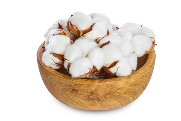 Wall Mural - Cotton plant flower in wooden bowl isolated on white background with clipping path and full depth of field