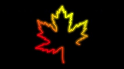Wall Mural - Maple leaf glowing line animation. White outline on black background.	