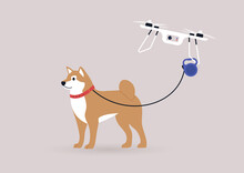 A Flying Drone Copter Walking A Shiba Inu Dog, New Technologies In Daily Life, Modern Lifestyle Concept