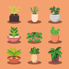 Wall Mural - set of houseplants