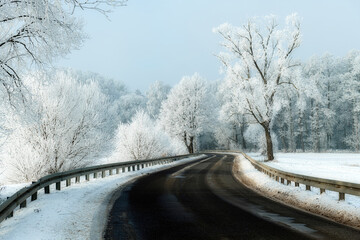 Wall Mural - Road between  winter landscape with trees covered with hoarfrost