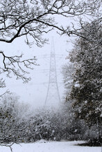 A snowy scene showing a pylon in a snow storm framed by trees and foliage, Renishaw, North East Derbyshire
