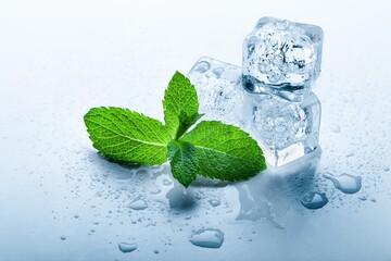 Wall Mural - Top view of mint leaves with ice cubes and water drops on pastel background