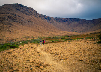 Wall Mural - hiking trail in Gros Morne national park