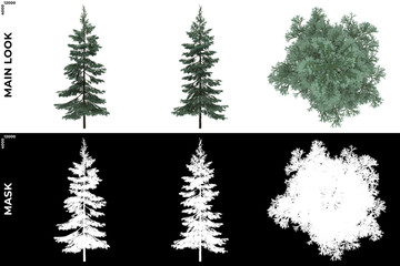 Wall Mural - 3D Rendering of Front, Left and Top view of Tree (Picea Glauca) with alpha mask to cutout and PNG editing. Forest and Nature Compositing.	
