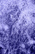 blue tint with purple undertone ice patterns on winter glass, ice crystals. abstract background frost close-up Very Peri