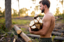 shirtless young man carries pile of firewood poses after cutting. strong muscular guy holding firewood in forest. side view. brutal lamberman alone at summer evening. athlete half-naked wood man