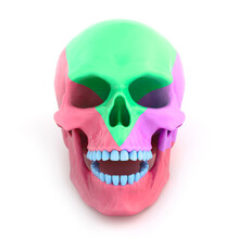 Multi-colored Human Skull On A White Background. 3d Rendering. 