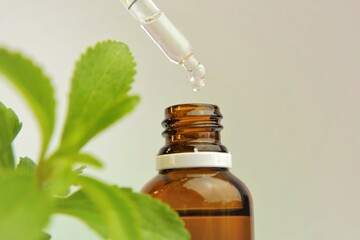  Stevia rebaudiana. liquid stevia in glass bottle and pipette in hand, fresh stevia sprig on light green background.Organic natural sweetener. 