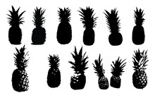 Vector Set Of Pineapple Fruit. Tropical Collection. Black And White Illustration . Eps 10