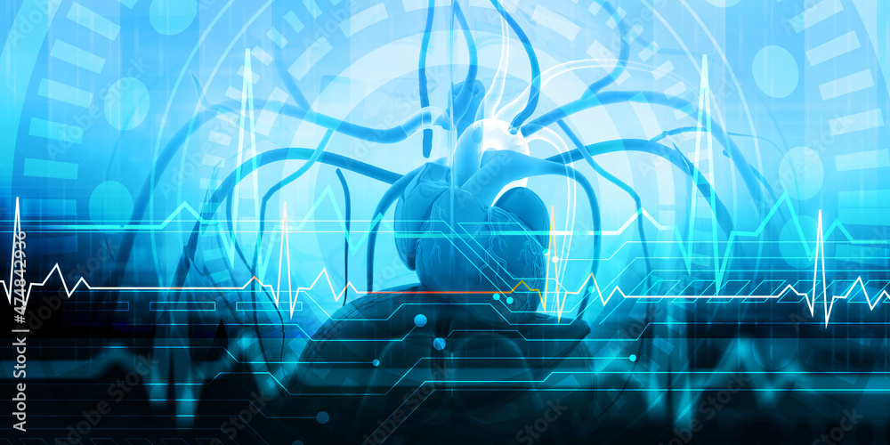 Human heart anatomy with ecg graph. 3d illustration.. Stock ...