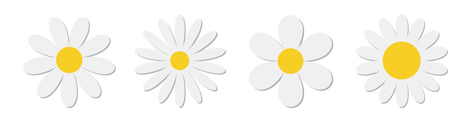 White chamomile daisy flower round icon set. Camomile petal line. Cute plant collection. Growing concept. Happy Valentines Day decoration. Love card. Flat design. Nature background. Isolated.