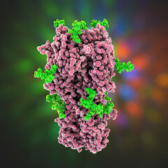 Wall Mural - Molecular model of influenza virus hemagglutinin