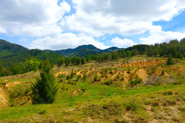 Wall Mural - Beautiful picturesque view of the mountains. A sunny day in a mountainous area. Green forest against the sky.