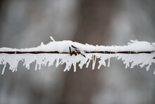 Metal Wires Covered With Frost Snow And Snowflakes