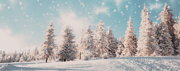  amazing winter wonderland landscape with snowy fir trees