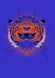Leinwandbild Motiv Tiger 2022 illustration