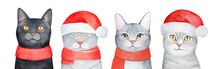 Cute Christmas Cats Dressed In Bright Red Santa's Hats And Warm Winter Accessories. Hand Painted Watercolour On White, Isolated Clipart Elements For Design, Stickers, Card, Banner, Poster, Gift Tags.