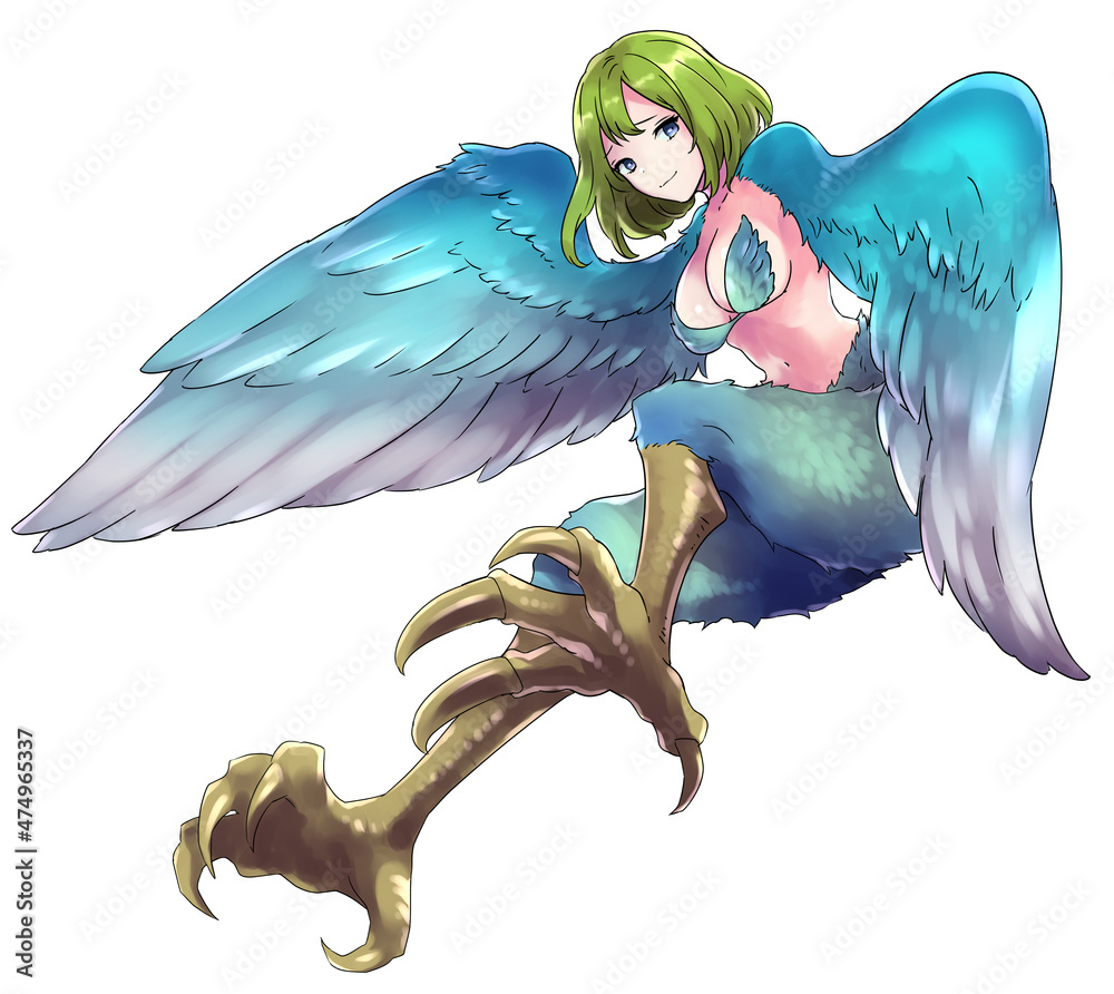 半人半鳥の女性型モンスターのイラスト モンスター娘 ガルーダ セイレーン Stock Illustration | Adobe Stock, image size:1000x892