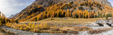 Panorama Of The Famouse Roseg Valley In Golden Fall Season In Engadine, Grison, Switzerland