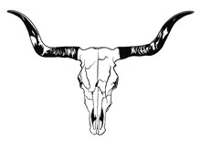Buffalo Skull - Hand Drawn Vector Illustration Isolated On White Background