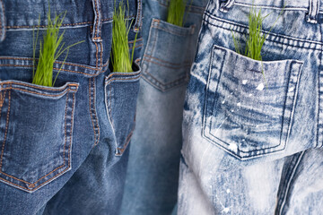 Responsible consumption clothing. from the pockets of jeans sprouts plants