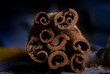 © Simi Jois - Macro shot of cinnamon