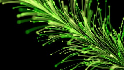 Stylish animation of a bright branch dynamically and elegantly growing on a black background. Magical fabulous vegetation. The perfect background and element of any design