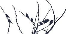 Silhouette Of A Tree And Birds On Tree Branches