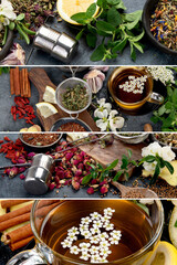 Wall Mural - Collage of various kinds of herbal tea.