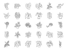 Indoor Plant Line Icon Set. Included The Icons As A Houseplant, Pot Plant, Botanical, Garden, And More.