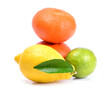 © valeriy555 - Citrus fruits on a white background