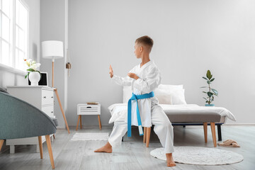 Wall Mural - Little boy studying karate online at home