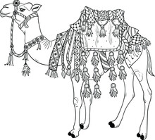 The Indian State Of Rajasthan Style Decorative Camel Vector Illustration Black And White Clip Art And Wedding Symol.indian Decoratedwedding Camel Clipart Line Drawing Illustration.